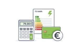 Voraussichtlicher Energiekennwert mit Preis- und Zahlungsübersicht für den Energieausweis